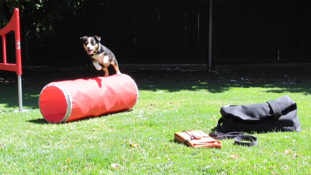 agility gear essentials
