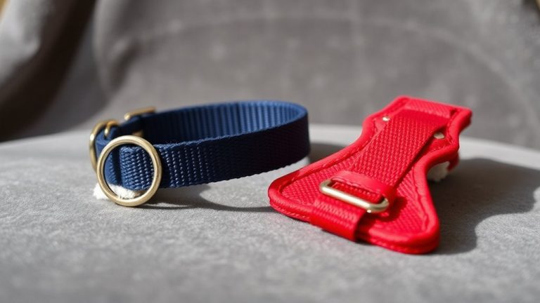 best collars for small dogs