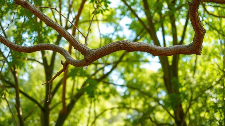 best snake climbing branches