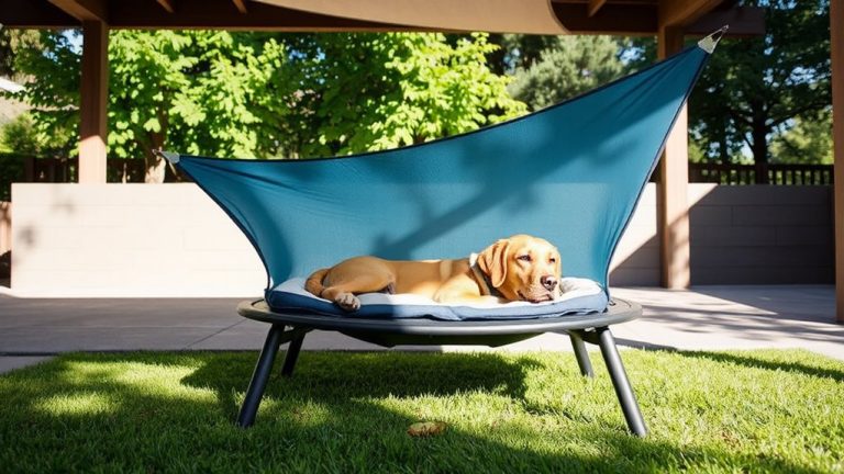 cool and comfy elevated dog beds