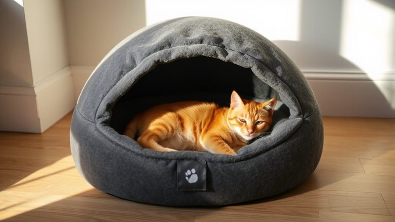 cozy safe pet caves