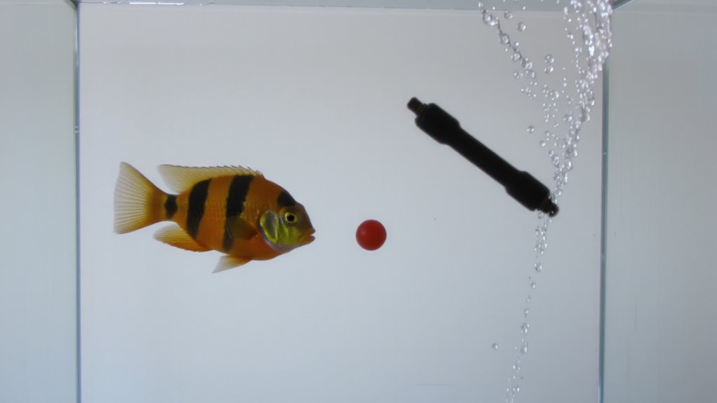 dopamine driven exploration in fish