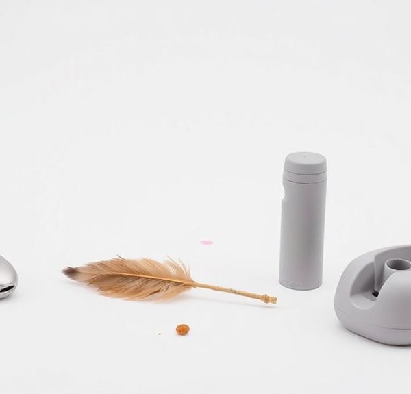 effective cat training tools