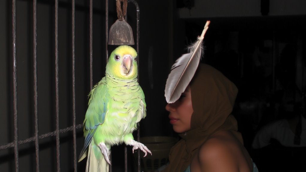 observable signs of avian anxiety