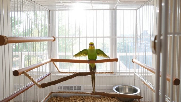 safe materials for bird cages