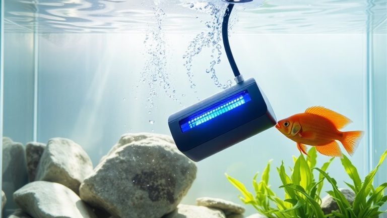 top aquarium heaters reviewed