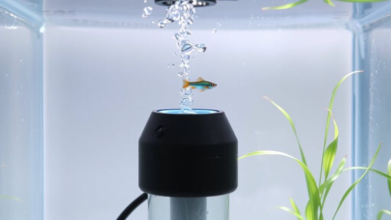 top heaters for 5 gallon tanks